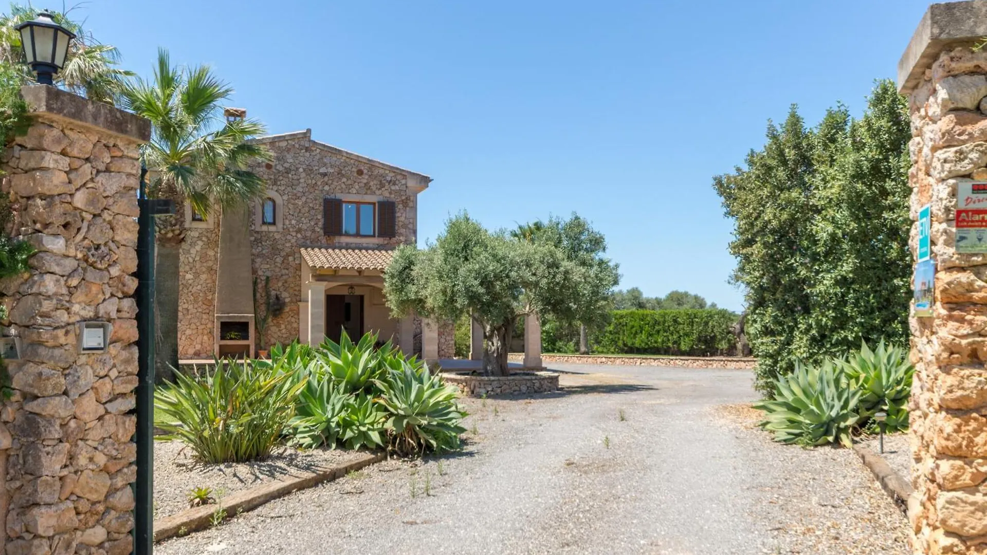 Felanitx -3036 Mallorca Spain